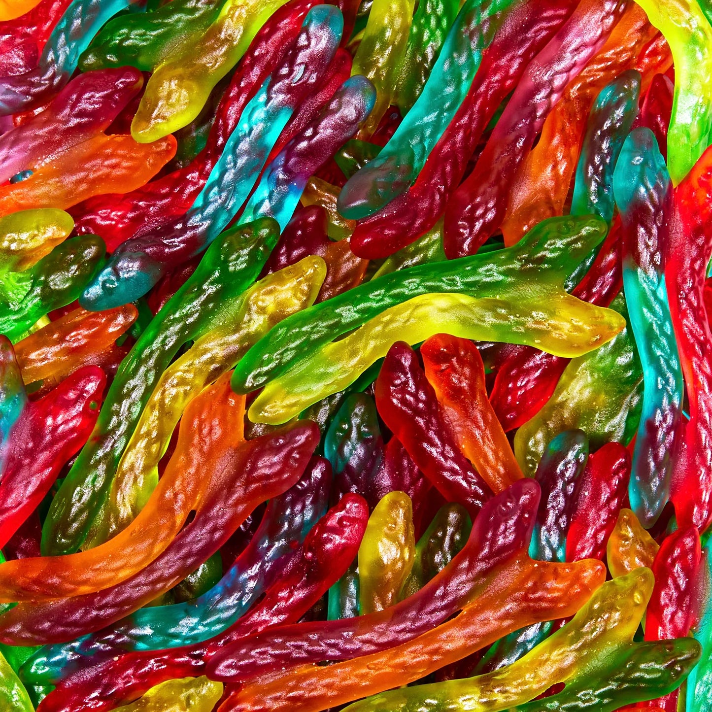 Jelly Twin Snakes