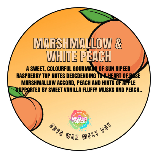 Wax Segment Clamshell - MARSHMALLOW & WHITE PEACH